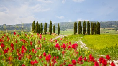 Vandring & vin i Toscana